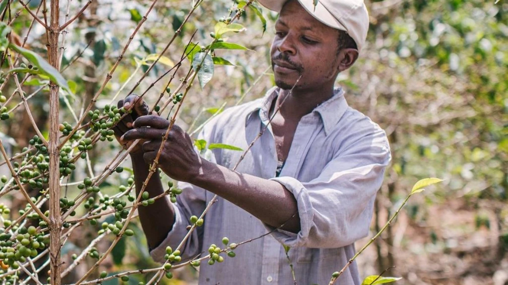 ______Sustainability home.9759310856283593703.9629401738378421936.jpg